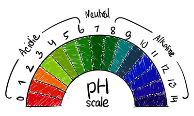 pH value scale science, chart for acid and alkaline solutions, acid-base balance infographic kids educational