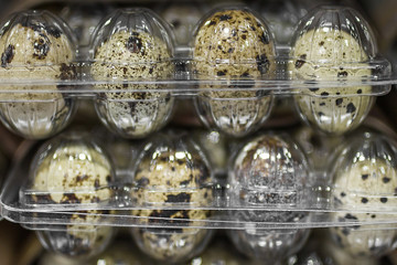 Fototapeta na wymiar Quail eggs in a plastic box packing on a shelf in a supermarket store.