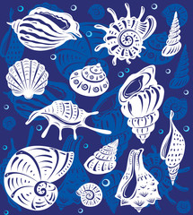 Set of decorative shells on blue background