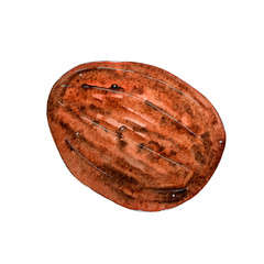 Hand painted watercolor fruit.