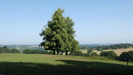 English Countryside on a Summers Day 2