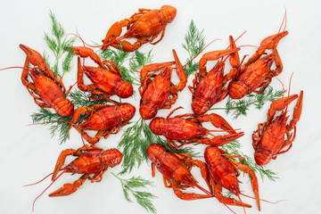 top view of red lobsters and green herbs on white background