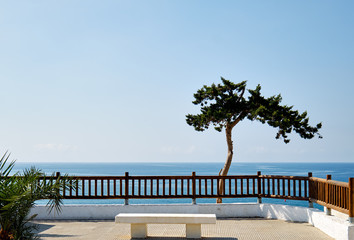 Fototapeta na wymiar Idyllic scenery lonely tropical tree on Mediterranean sea horizon blue waters background, fenced place with white bench, Cabo Roig, Spain