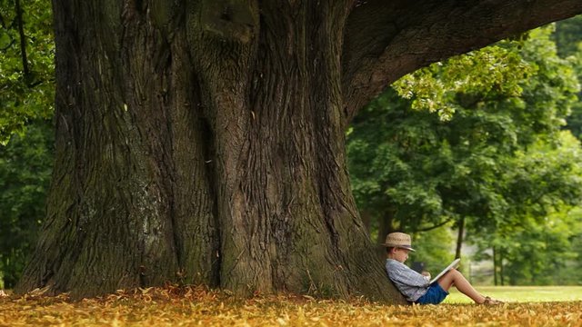Boy sitting under huge tree reading book wearing straw hat