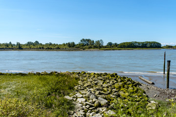rocky river bank on a sunny day with green trees on the edge and forest covered island on the other side of the river