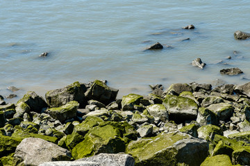 rocky shore line with rocks covered in green algae under the sun