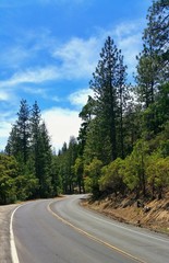 Naklejka premium yosemiti national park