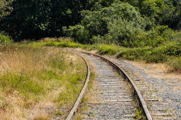 Fototapeta premium a curved railway tracking lead straight into the forest on the far end on a sunny day. 