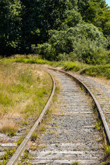 a railway tracking lead deep into the forest on a sunny day 