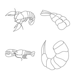 Isolated object of food and sea sign. Set of food and animal vector icon for stock.