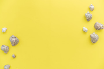 sea shells and on yellow background, flat lay, top view, copy space