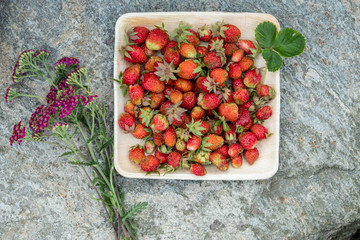 Fresh red strawberries in a wooden plate. Strawberry is a source of vitamin C. This berry is a natural aphrodisiac. Collage with wildflowers on the background of natural granite stone.