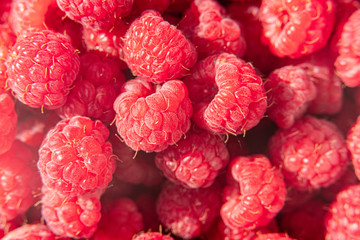 Fresh organic raspberries background closeup