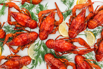 Top view of red lobsters, lemon slices and green herbs on white background