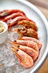 Different shrimp( nerd, bear and others), ice on ice with sauce.