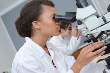 Obraz na płótnie Canvas woman looking through the microscope