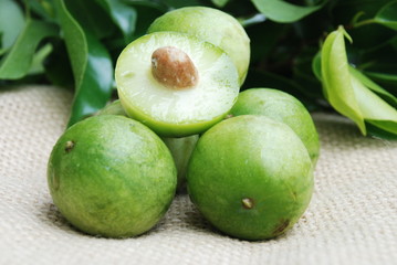 umbu