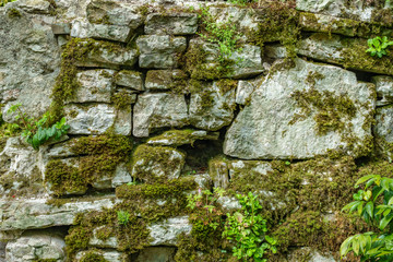 Ancient stone wall overgrown with grass and moss.