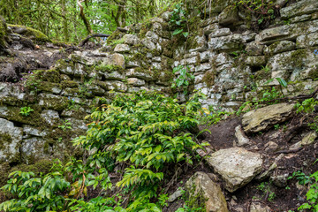 Ancient stone wall overgrown with grass and moss.