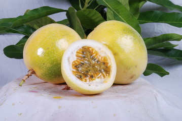 maracuja