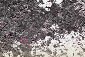 red grunge weathered lichen on boulder texture - pretty abstract photo background