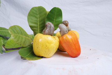 cajú