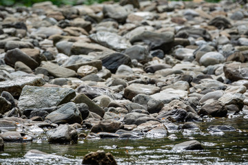 Large stones on the banks of a mountain river.