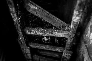 Abandoned stair in a cemetery's tomb