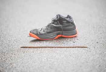 Naklejka premium Large earthworm with shoe for scale on wet pavement