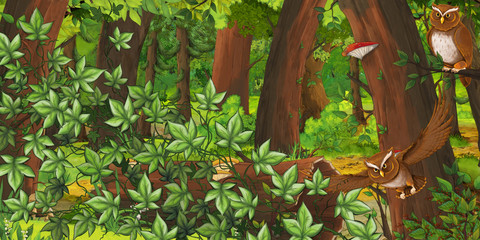 cartoon summer scene with deep forest and bird owl - nobody on scene - illustration for children
