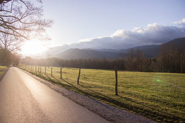 Morning Trails