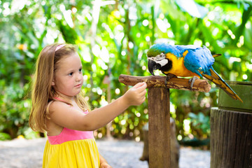 Fototapeta premium Kids feeding macaw parrot. Child playing with bird