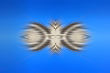 radial color pattern, closeup of photo
