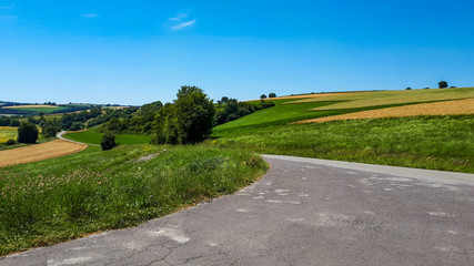 Empty road in rural landscape with agricultural fields and blue sky in summer; Nassau, Germany