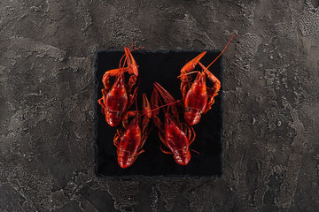 top view of black plate with red lobsters on grey textured surface