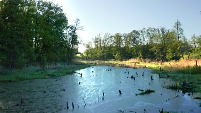 Aerial shot over flood plains. There is a pellicle of silt on the surface of the water. Dense vegetation around.