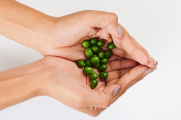 Green coffee beans in woman hand