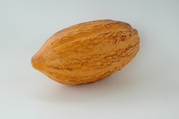 cacau cocoa 2