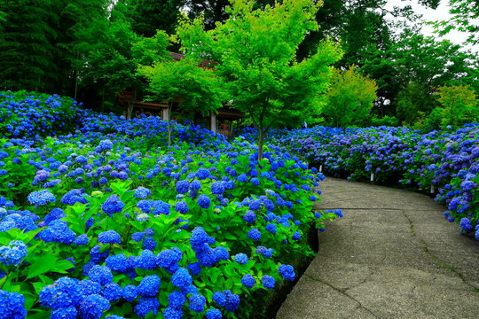 958 Best 男鹿半島 Images Stock Photos Vectors Adobe Stock