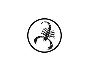 Scorpion Logo Template Vector illustration
