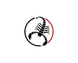 Scorpion Logo Template Vector illustration