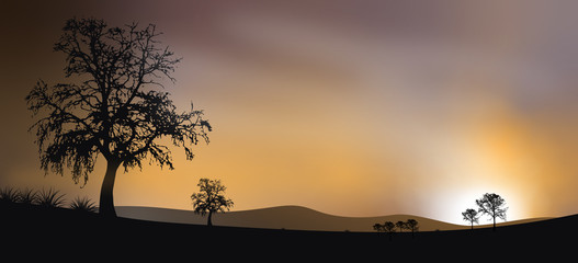 Sunset Background Vector 