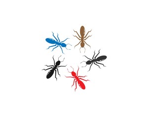 Ant Logo template vector illustration design