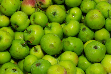 Green apples top view, fruit food for diet, sports and fitness, good for health.
