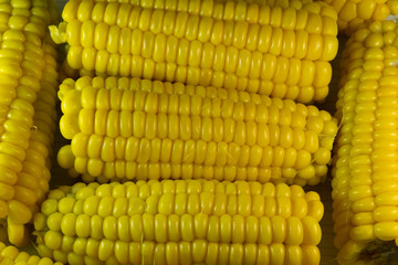 Cobs with grains of ripe corn, texture and background.