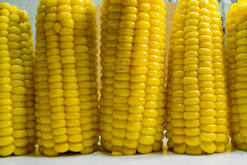Fresh corn cobs in a vertical view on the table.