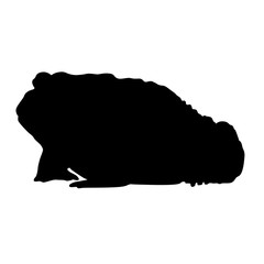 (Rana Catesbeiana) Silhouette American Bullfrog 