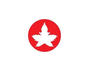 Oak Leaf Logo template vector illustration