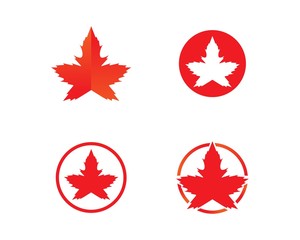 Oak Leaf Logo template vector illustration