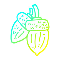 cold gradient line drawing cartoon acorn